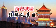 嗯啊用嘴添高潮喷液呻吟视频中国陕西-西安城墙旅游风景区